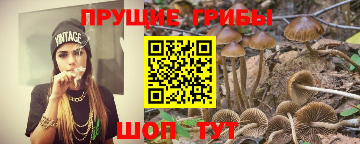 Псилоцибиновые грибы прущие грибы  Вход с VPN  Ирбит 