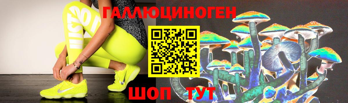 Псилоцибиновые грибы Psilocybine cubensis Ирбит